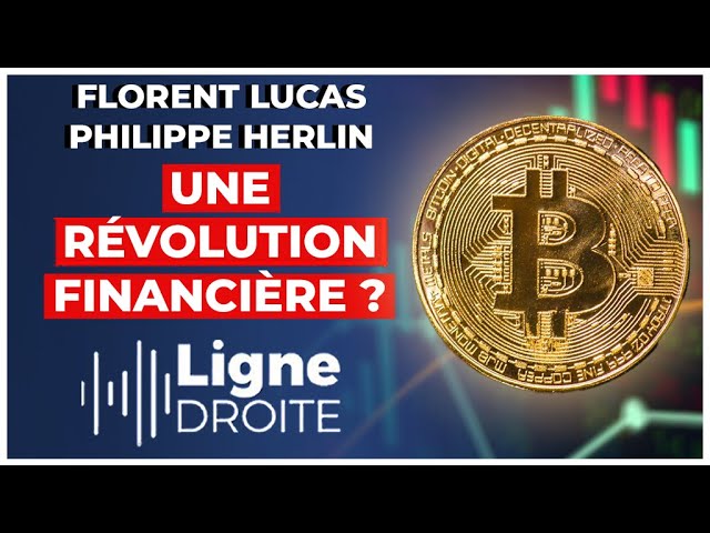 Faut Il Investir Dans Le Bitcoin Pour Chapper L Effondrement