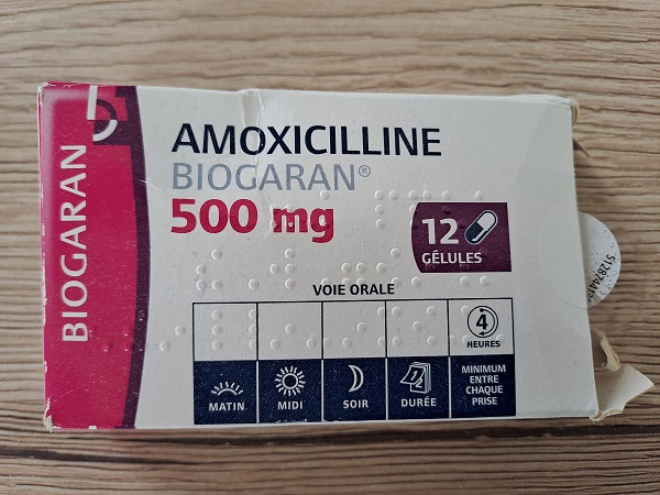 amoxicilline pour chat prix